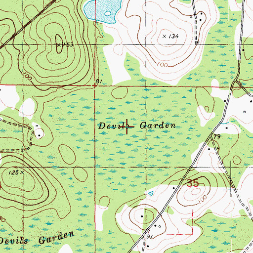 Topographic Map of Devils Garden, FL