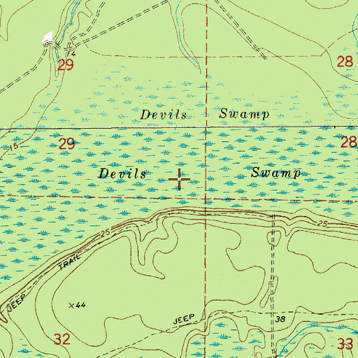 Topographic Map of Devils Swamp, FL