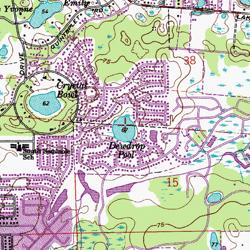 Topographic Map of Dewdrop Pool, FL