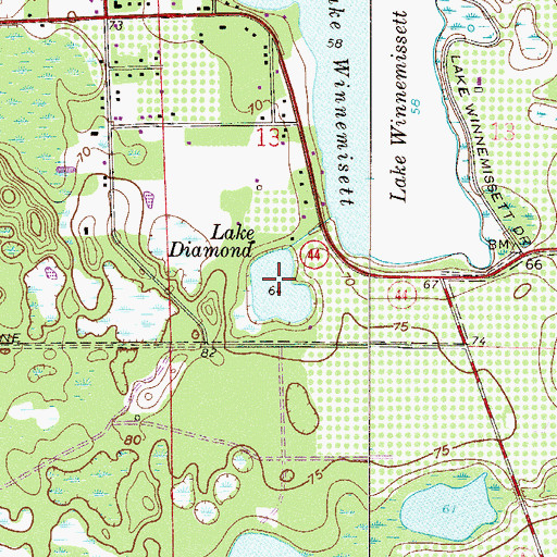 Topographic Map of Lake Diamond, FL