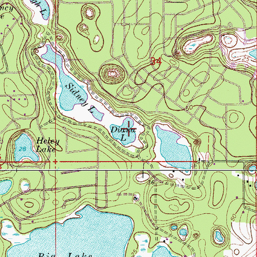 Topographic Map of Diana Lake, FL