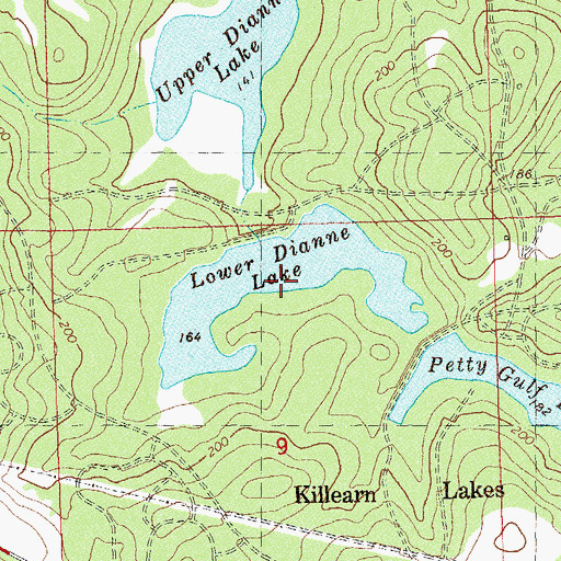 Topographic Map of Lower Dianne Lake, FL