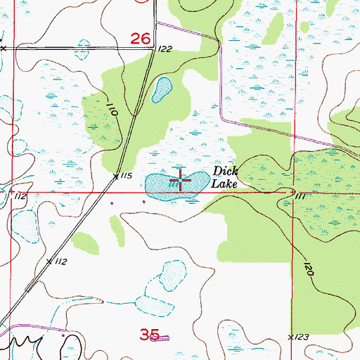 Topographic Map of Dick Lake, FL