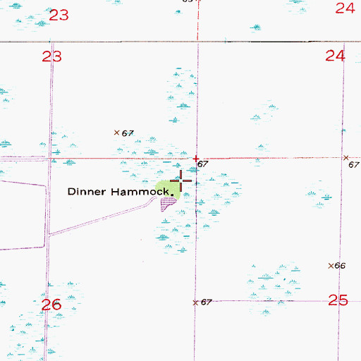 Topographic Map of Dinner Hammock, FL
