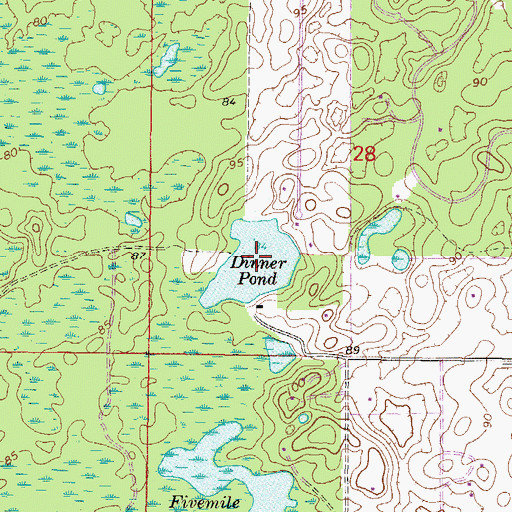 Topographic Map of Dinner Pond, FL