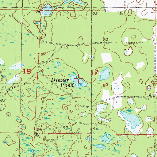 Topographic Map of Dinner Pond, FL