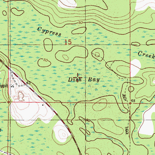 Topographic Map of Dish Bay, FL