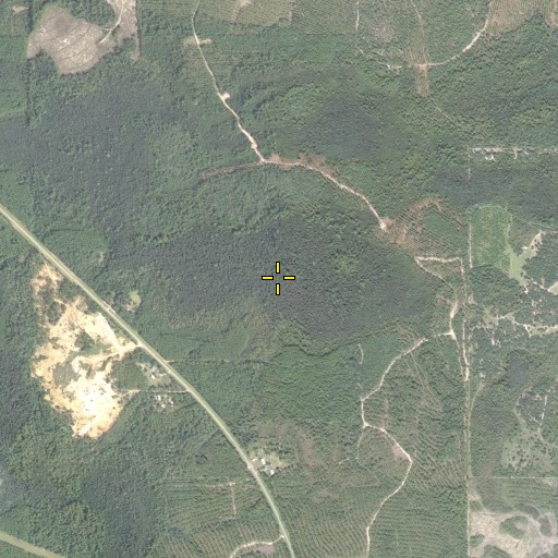 Aerial/Satellite Image of Dish Bay, FL