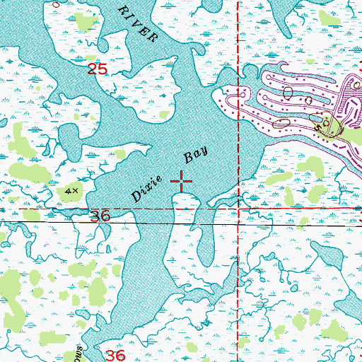 Topographic Map of Dixie Bay, FL