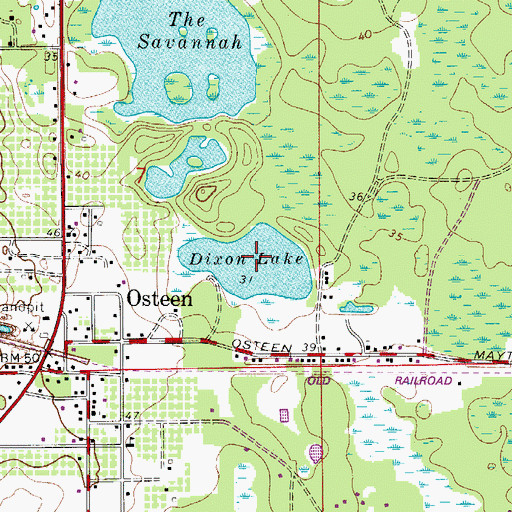 Topographic Map of Dixon Lake, FL
