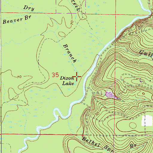 Topographic Map of Dixon Lake, FL