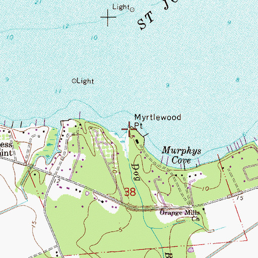 Topographic Map of Dog Branch, FL