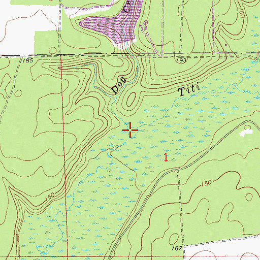 Topographic Map of Dog Creek, FL
