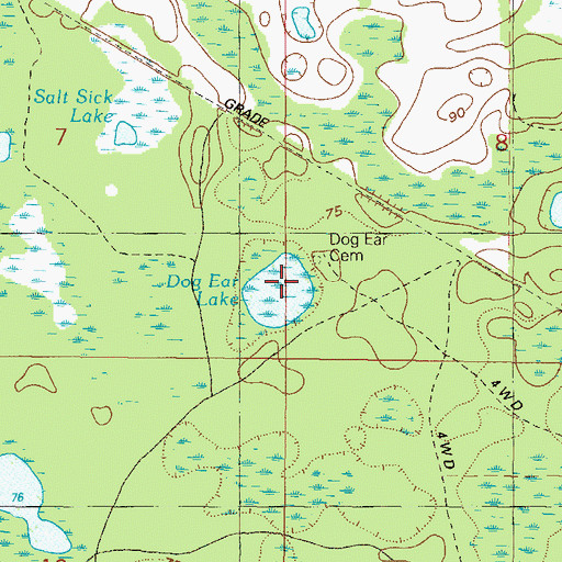Topographic Map of Dog Ear Lake, FL