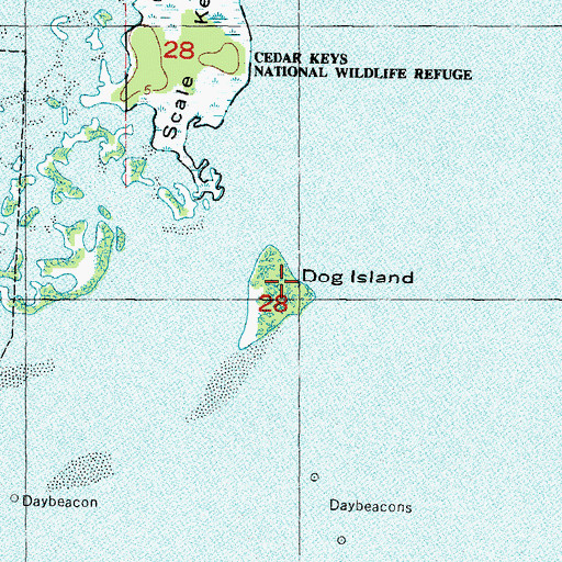 Topographic Map of Dog Island, FL
