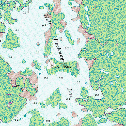 Topographic Map of Dog Key, FL