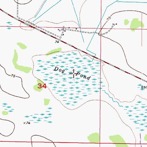 Topographic Map of Dog Pond, FL
