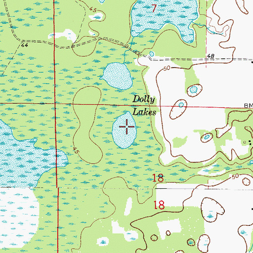 Topographic Map of Dolly Lakes, FL