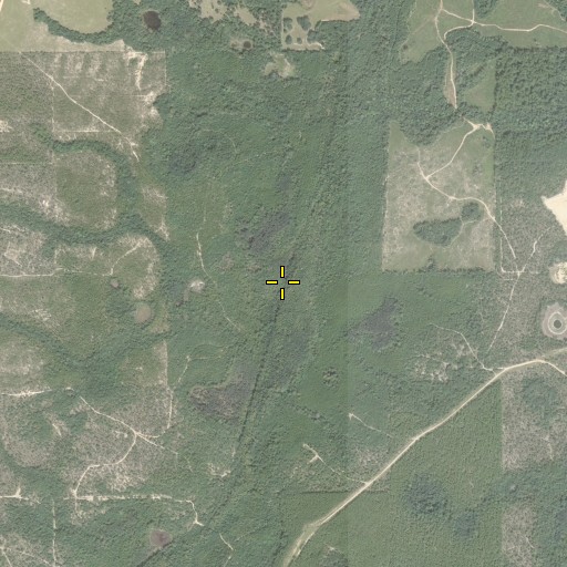 Aerial/Satellite Image of Double Branch, FL