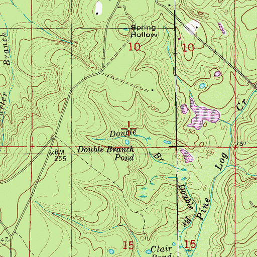 Topographic Map of Double Branch Pond, FL
