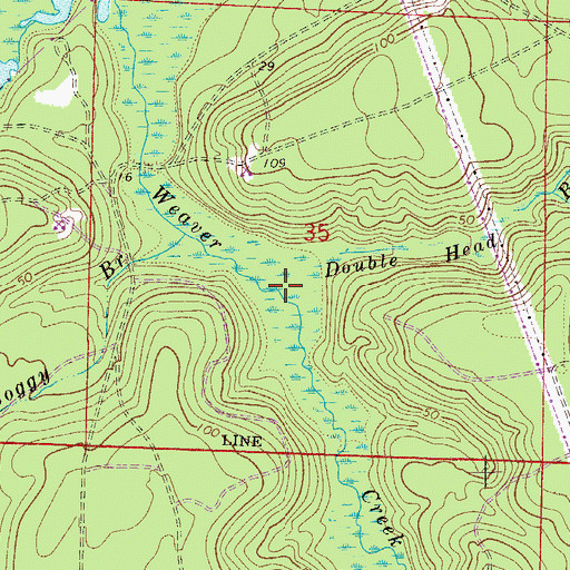 Topographic Map of Double Head Branch, FL