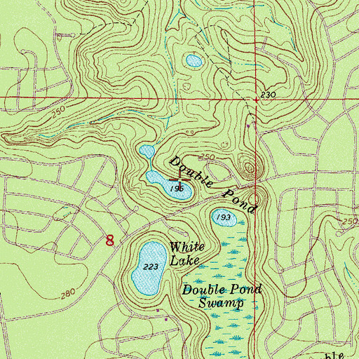 Topographic Map of Double Pond, FL