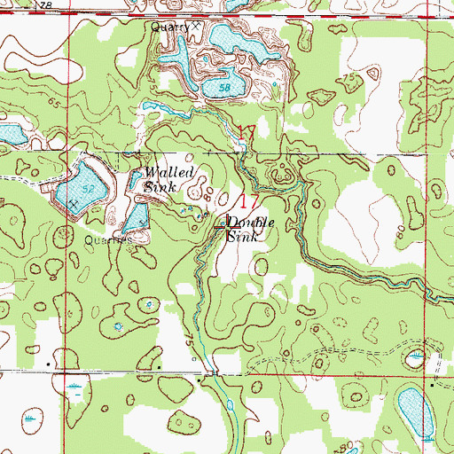 Topographic Map of Double Sink, FL