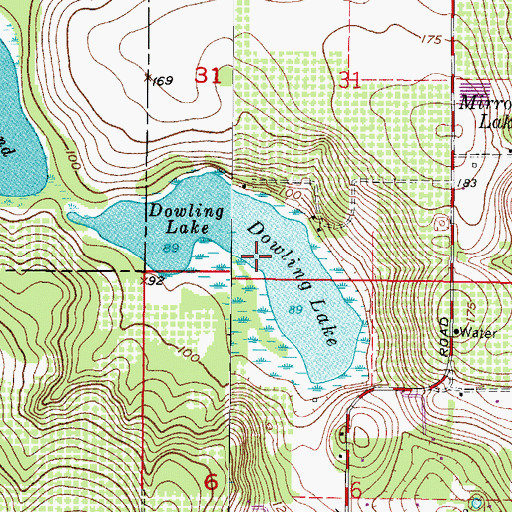 Topographic Map of Dowling Lake, FL