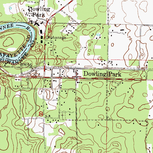 Topographic Map of Dowling Park, FL