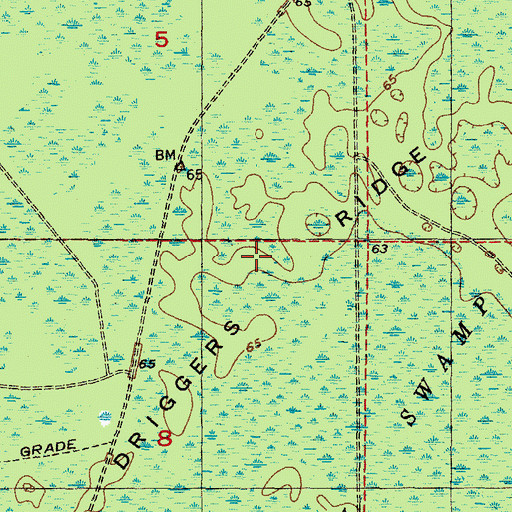 Topographic Map of Driggers Ridge, FL