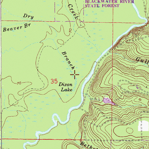 Topographic Map of Dry Branch, FL