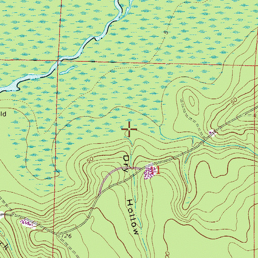 Topographic Map of Dry Hollow, FL