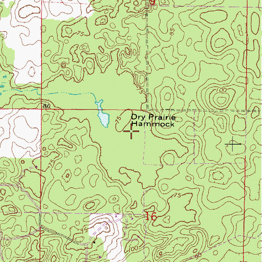 Topographic Map of Dry Prairie Hammock, FL