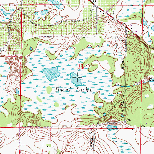 Topographic Map of Duck Lake, FL