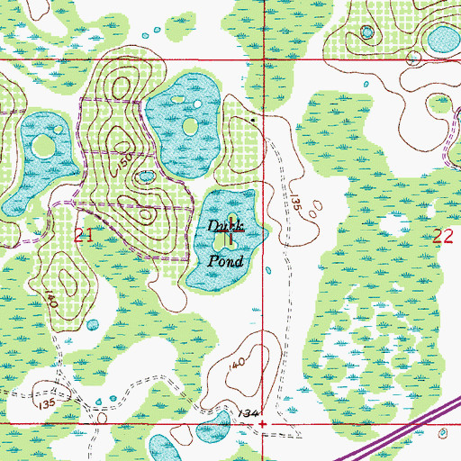Topographic Map of Duck Pond, FL