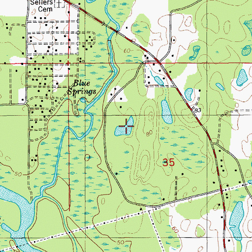 Topographic Map of Duck Pond, FL
