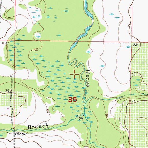 Topographic Map of Duck Pond, FL