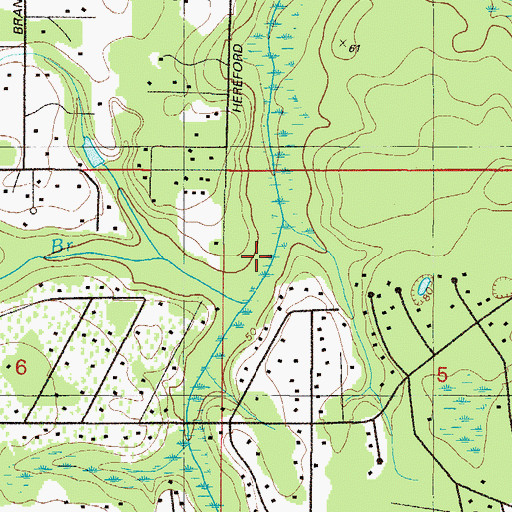 Topographic Map of Duckwater Branch, FL