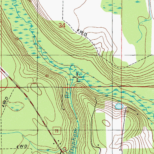 Topographic Map of Dunham Branch, FL