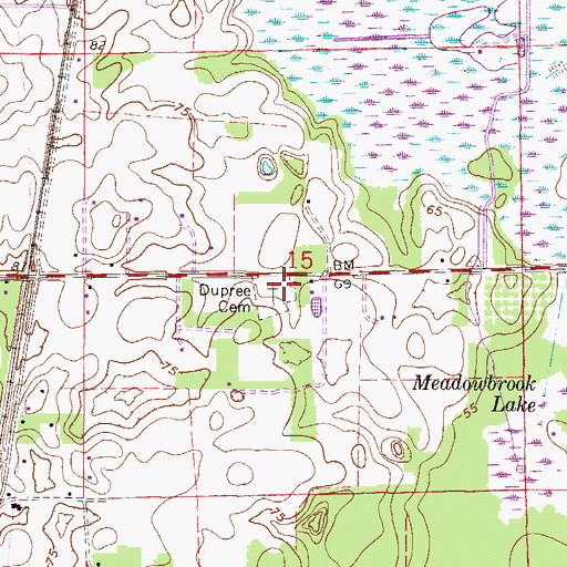 Topographic Map of Dupree Cemetery, FL