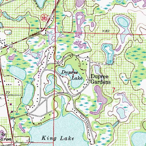 Topographic Map of Dupree Lake, FL