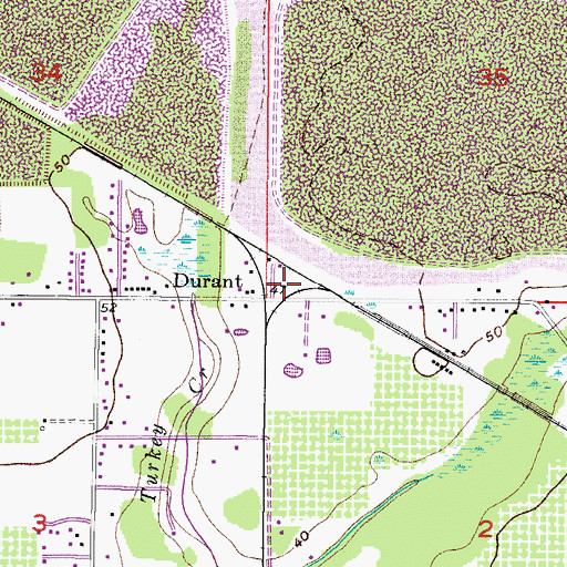 Topographic Map of Durant, FL