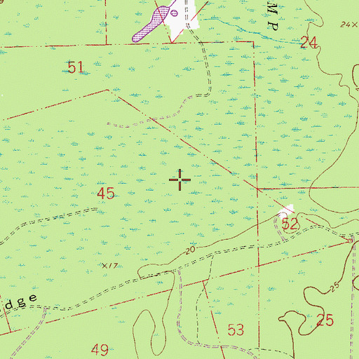 Topographic Map of Durbin Swamp, FL
