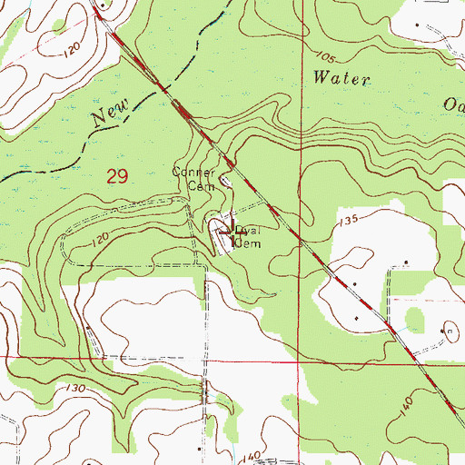 Topographic Map of Dyal Cemetery, FL