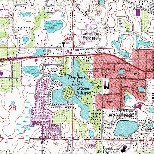 Topographic Map of Dyches Lake, FL