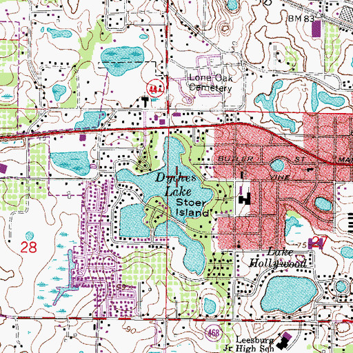 Topographic Map of Dyches Lake, FL