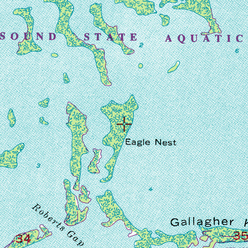 Topographic Map of Eagle Nest, FL