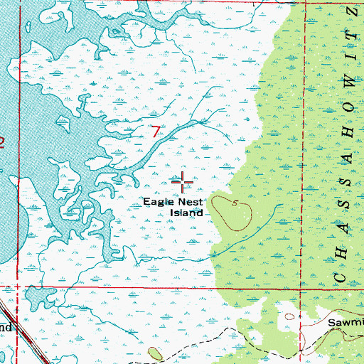 Topographic Map of Eagle Nest Island, FL