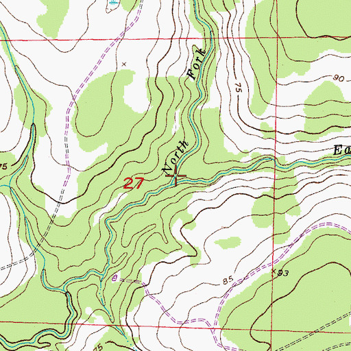 Topographic Map of East Fork Manatee River, FL
