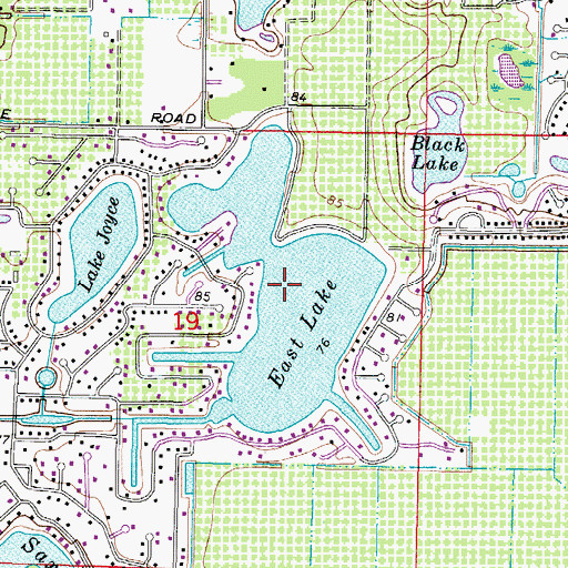 Topographic Map of East Lake, FL